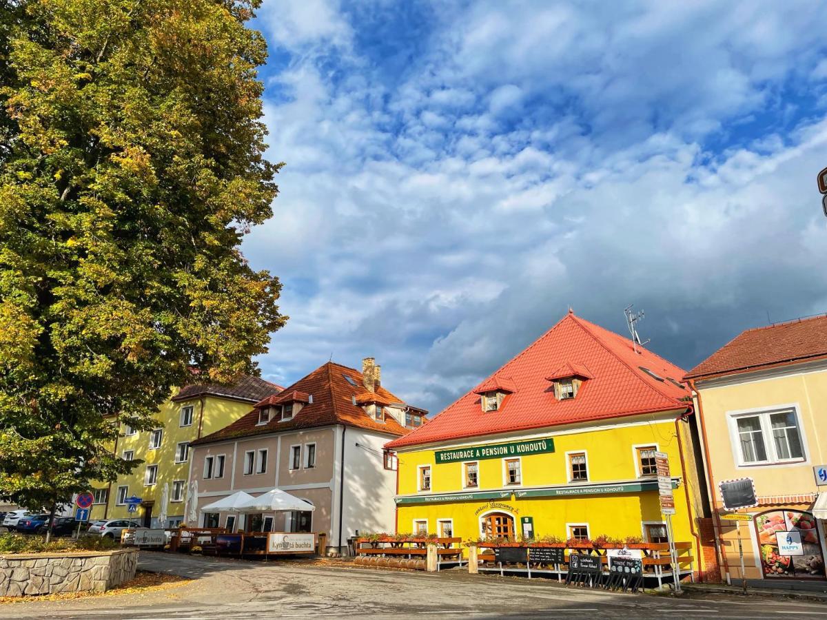 Pension U Kohoutu Horní Planá Bagian luar foto